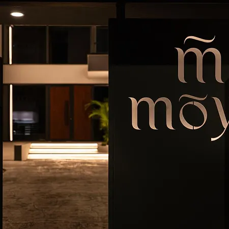 Moya Signature Experience *
